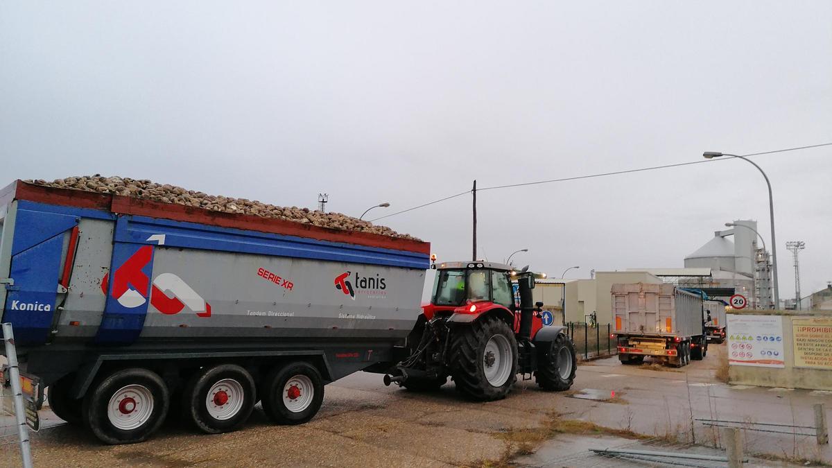 Varios camiones acceden a la fábrica de Toro para entregar remolacha