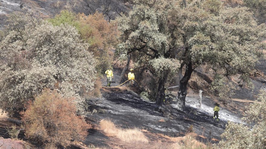 El Infoca da por extinguido el incendio de La Albaida tras tres días de lucha contra el fuego