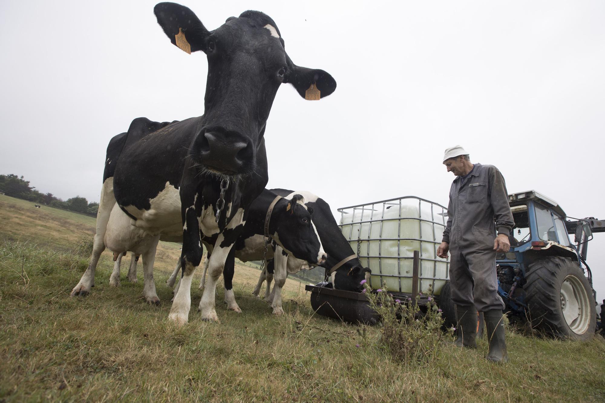 Así es Pruvia, la zona de Llanera que más crece