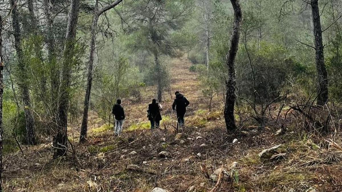 Xàtiva assegura una ajuda de més de 123.000 euros per a accions de prevenció de desastres naturals