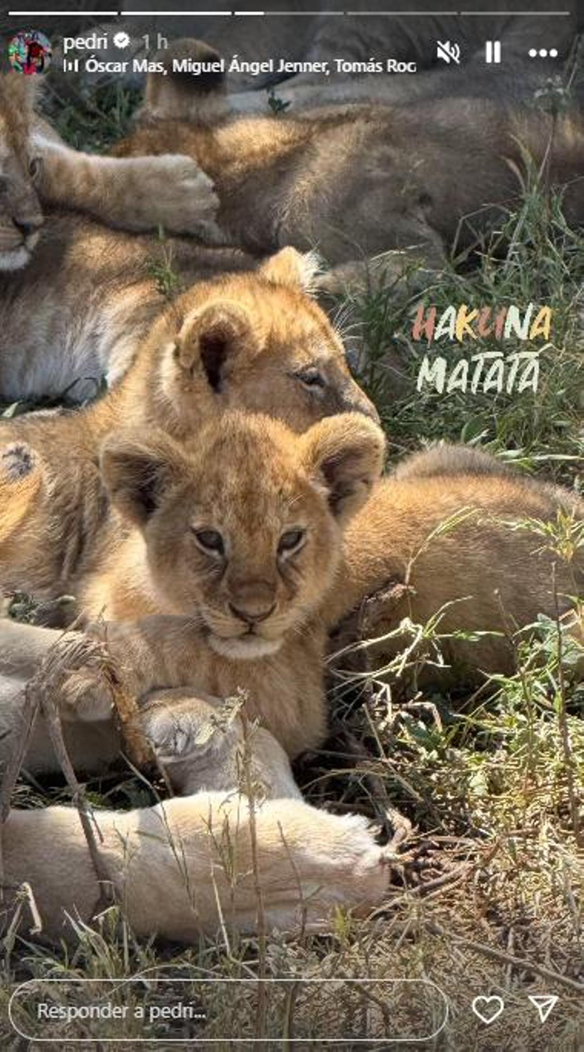 Instastory de Pedri en Tanzania.