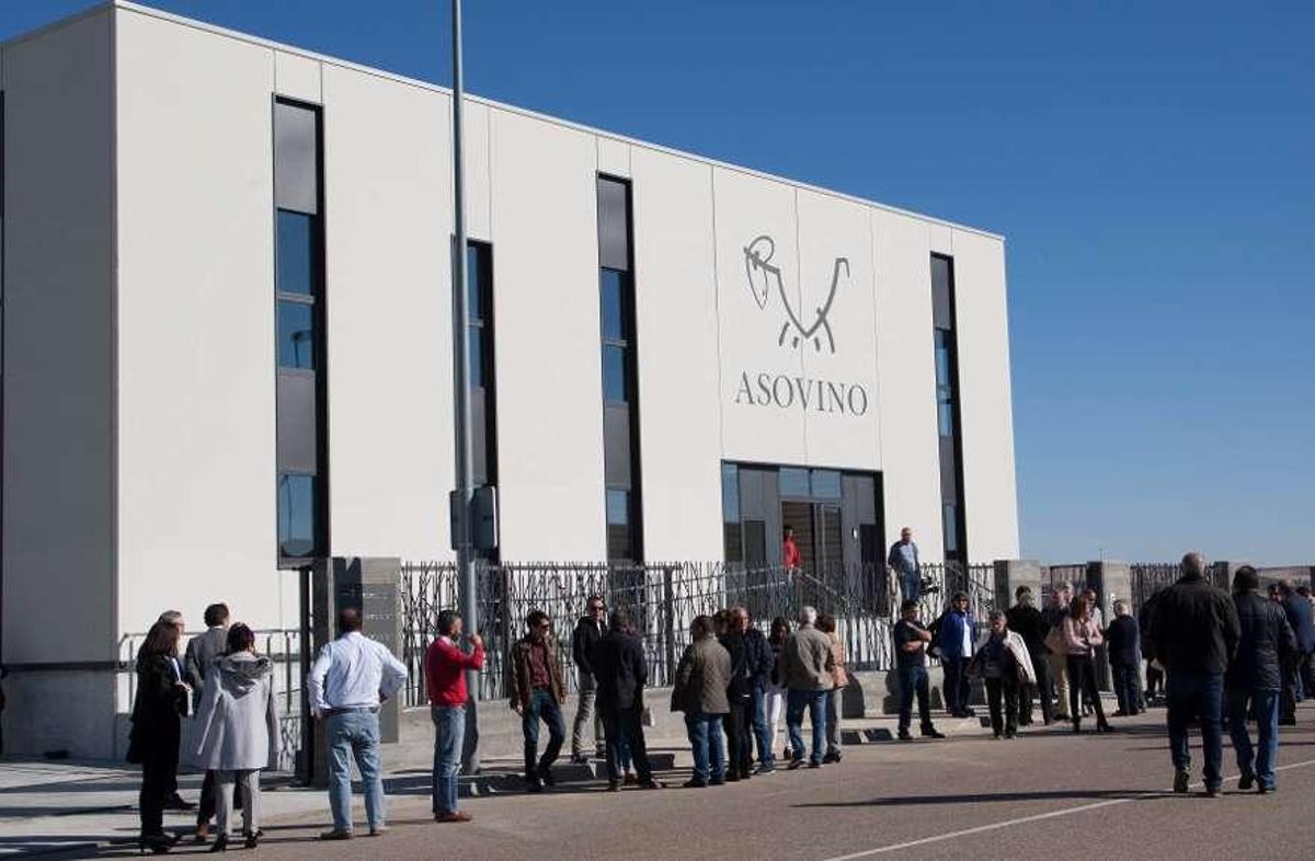 Asovino abre una sala de despiece para entrar en el mercado árabe