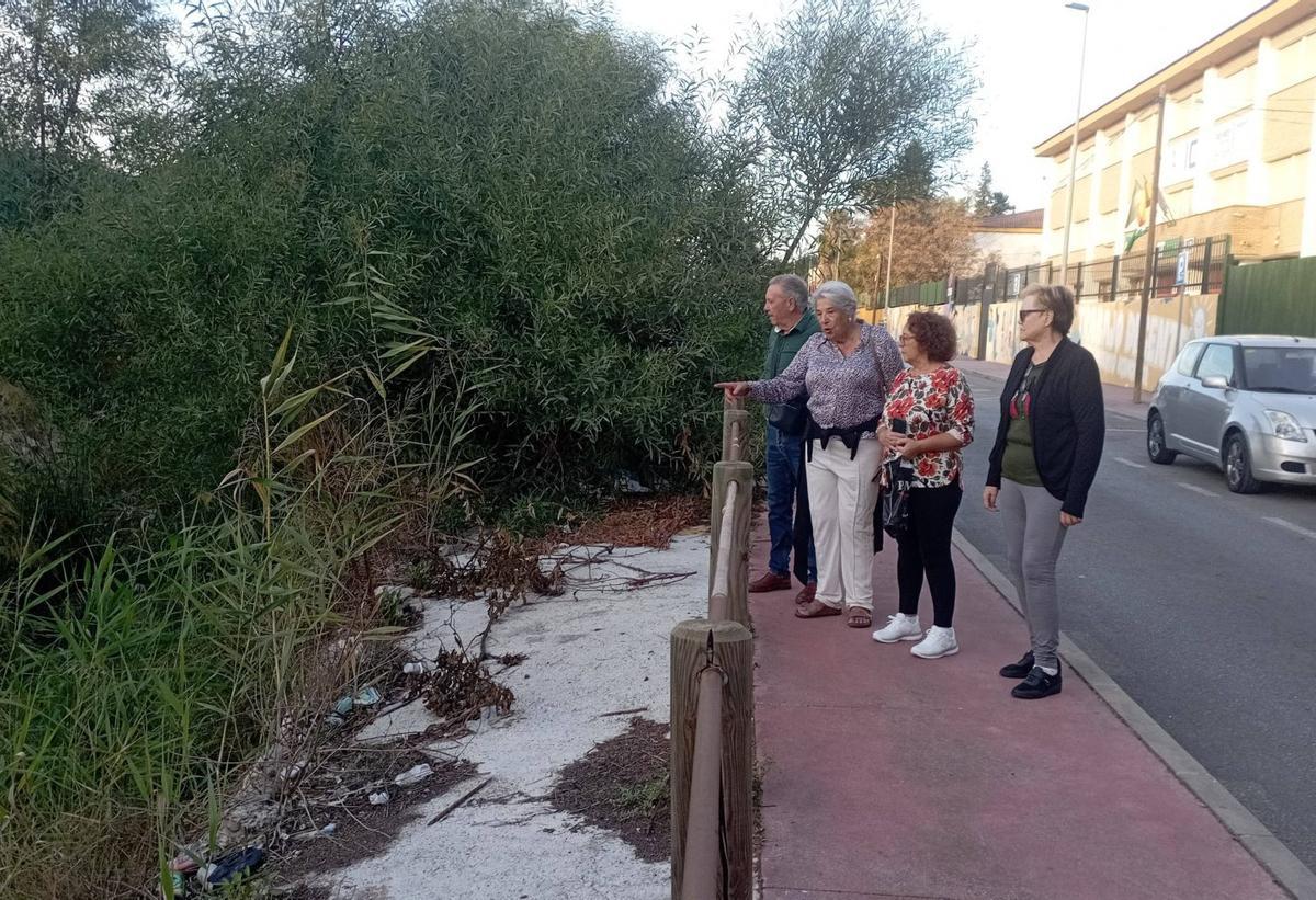 La presidenta vecinal, Carmela Fernández, con vecinos en el arroyo de La Rebanadilla, y el instituto detrás. | A.V.