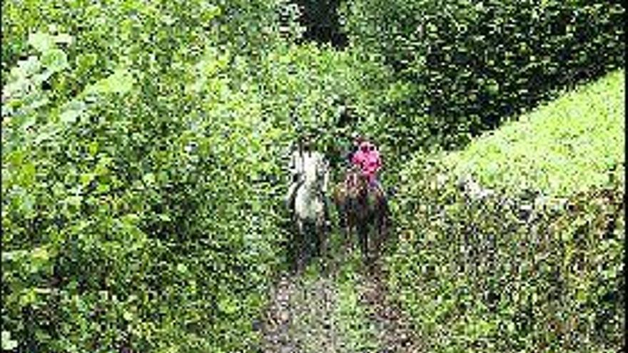 Un grupo de turistas realiza un paseo a caballo cerca de La Felguerina.