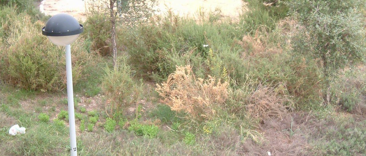Temor per una zona verda a Castelló