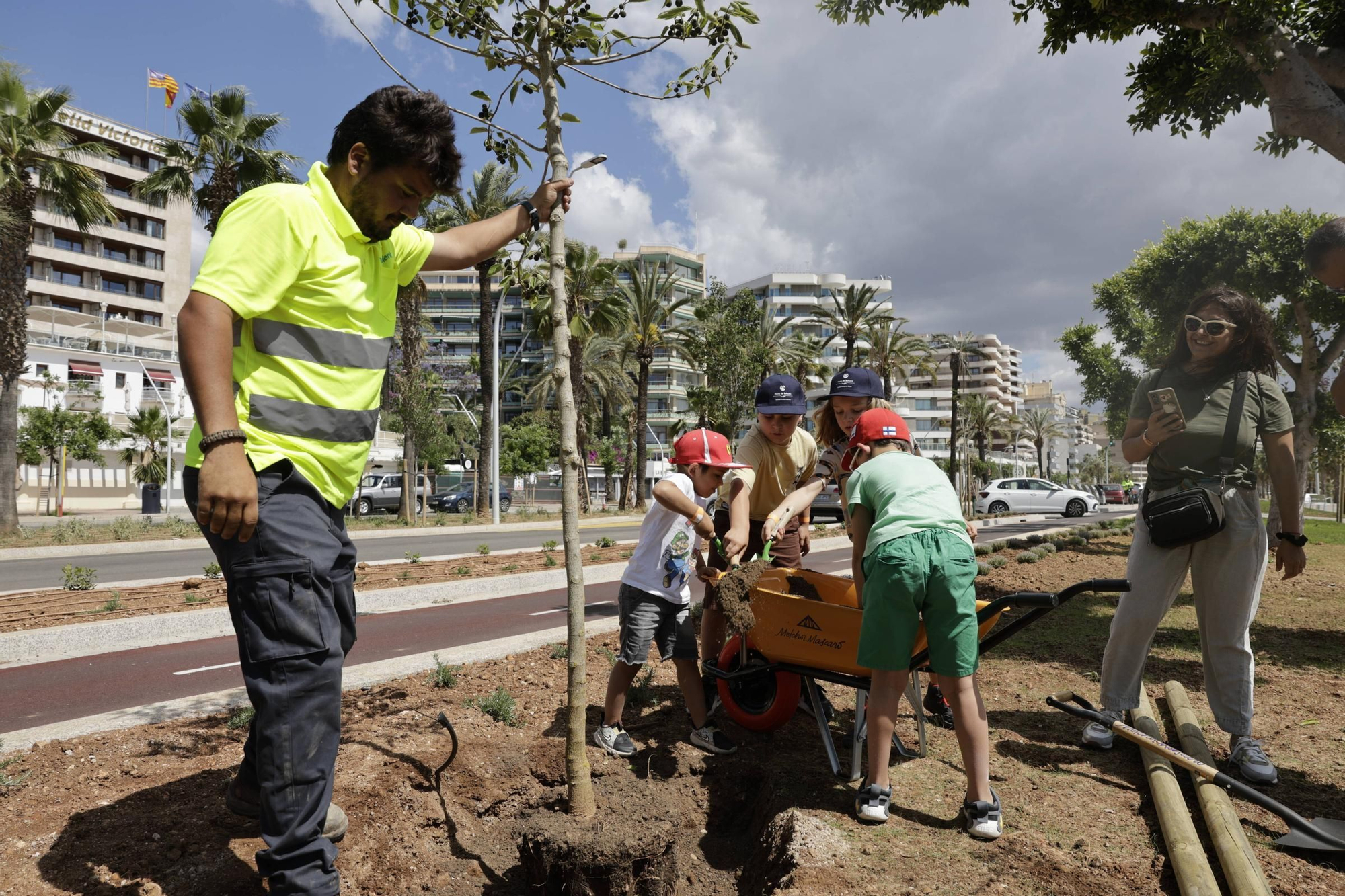 Verde para el nuevo Paseo Marítimo de Palma: pala y rastrillo para que los vecinos planten árboles