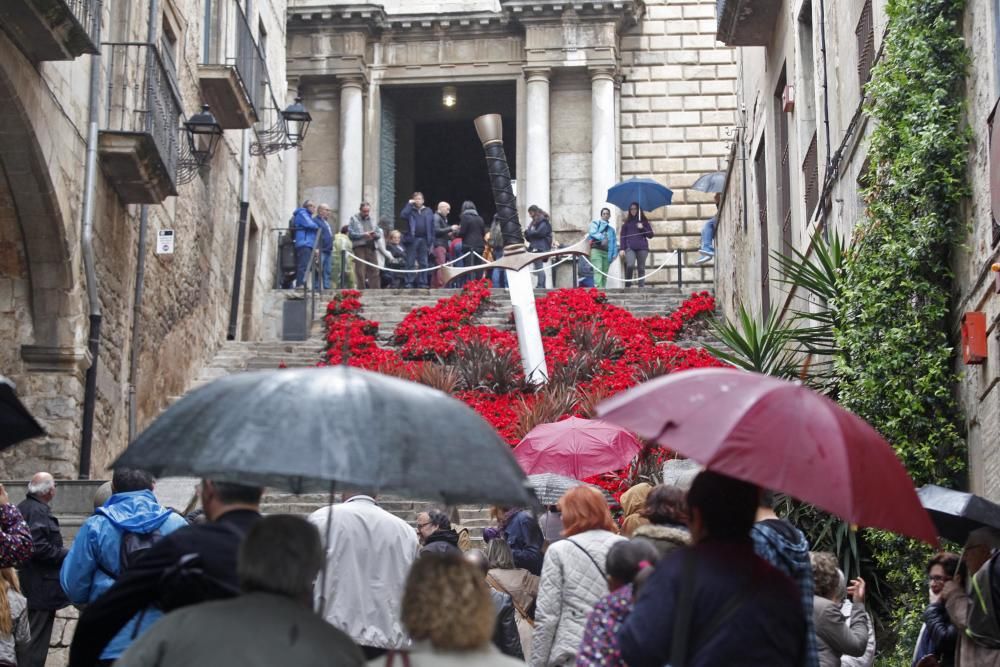 La pluja no desanima l'afluència de públic a «Temps de Flors»