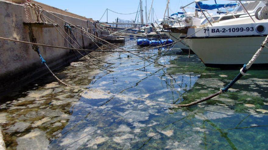 Imagen de la zona donde ha aparecido el mucílago