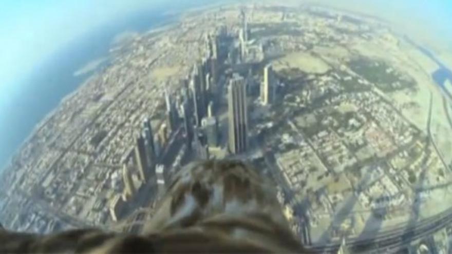 Dubai a vista de águila