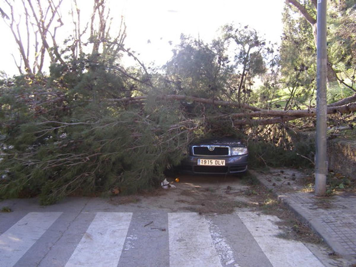 Terrassa Barri Cementiri Vell.