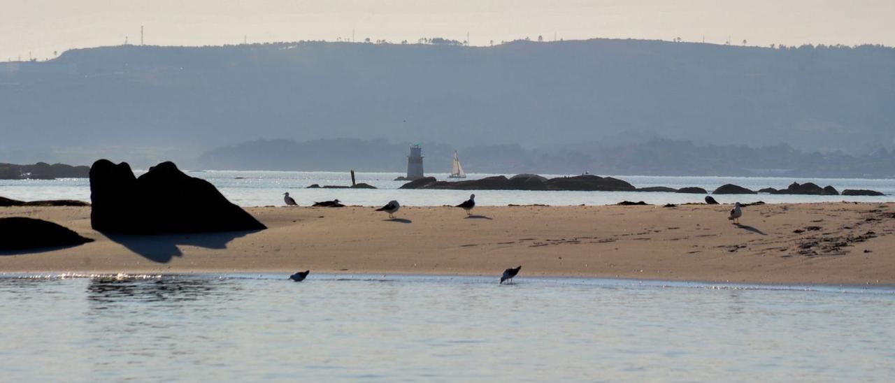 El islote Areoso se encuentra muy degradado por las mareas y por la presión turística.