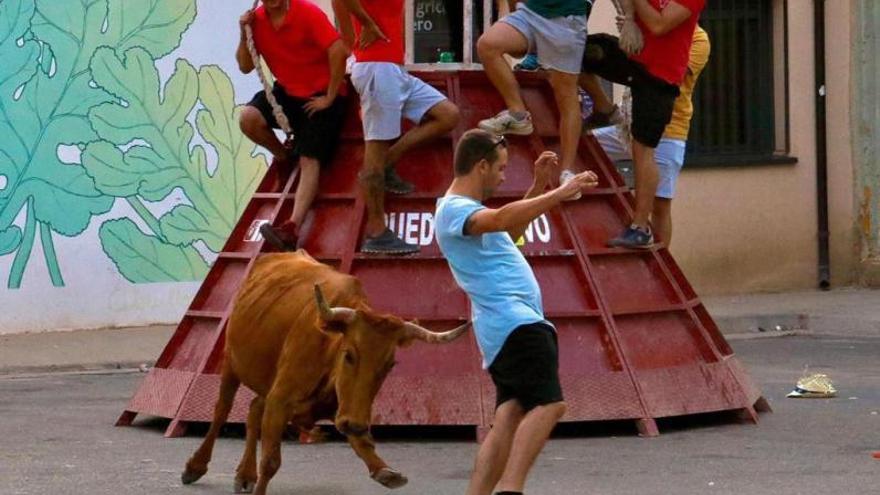 El festejo taurino popular sigue siendo un espectáculo muy movilizador en las fiestas patronales.