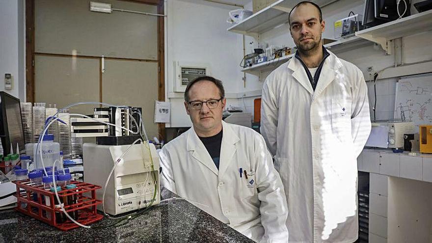 Manuel MirÃ³ y David Jaume CocovÃ­ en su laboratorio de la UIB.