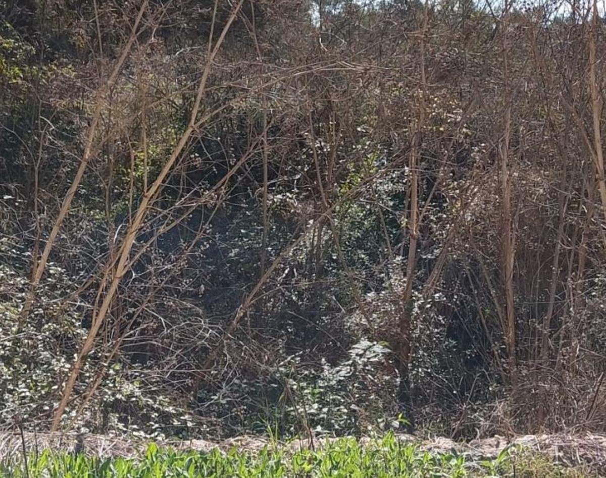 Aspecto del lecho del torrente cerca de Biniali.