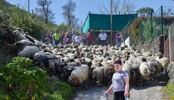 08-03-2020 VALLESECO. Feria del Queso y ruta trashumante femenina en el Cruce de Cueva Corcho. Fotógrafo: ANDRES CRUZ  | 08/03/2020 | Fotógrafo: Andrés Cruz