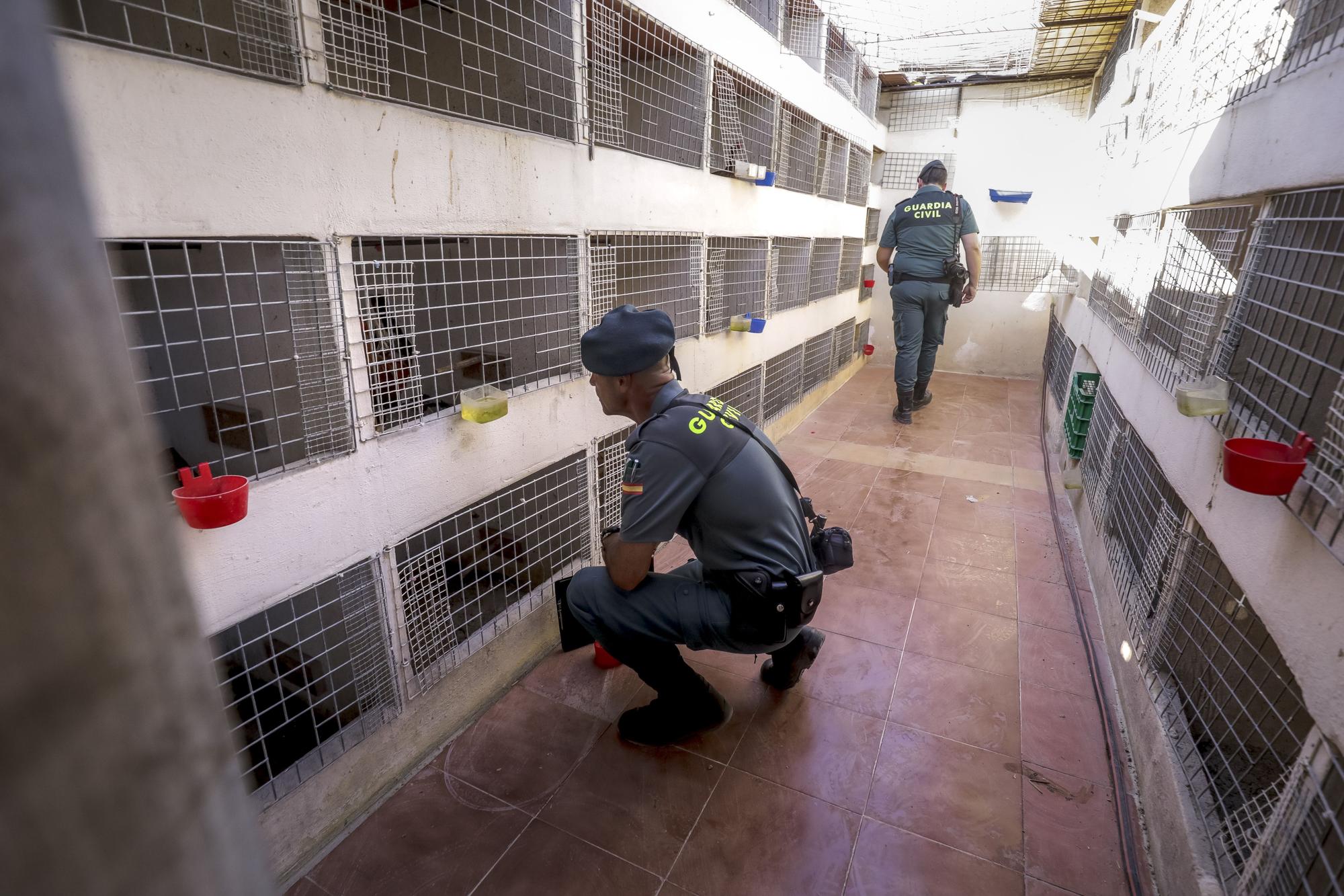 La redada en Son Banya  se salda con 18 detenidos, un kilo de cocaína y 113.000 euros