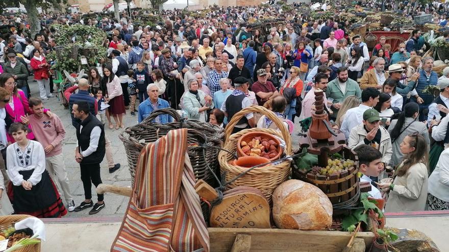 Concentración en la Plaza Mayor en la fiesta de la vendimia tras el desfile de carros. | M.J.C.