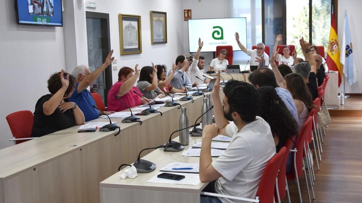 Una de las votaciones en el pleno ordinario devmayo celebrado en Ames