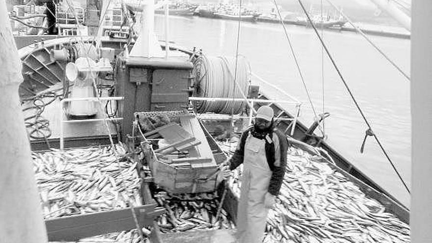 Cajas de pescado en la cubierta del «Nueva Emperatriz».