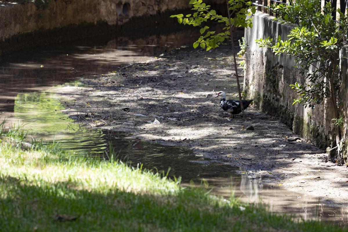 El rio Sants, de nuevo seco a su paso por Canals