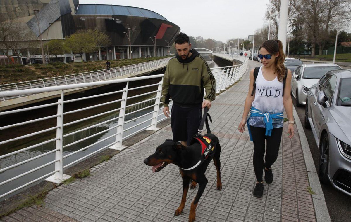 David Fernández y Rosi Rodríguez, con «Casper», en su casa de Baldornón (Gijón). | Juan Plaza