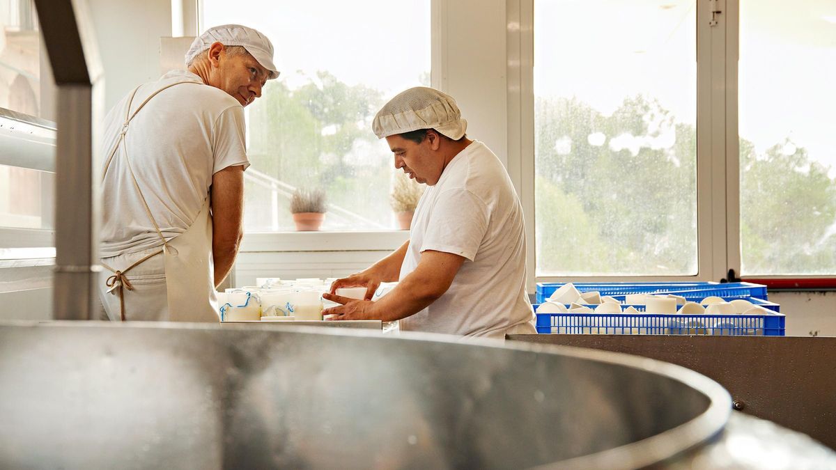 Empleo para personas con discapacidad: estas son las mejores ofertas del SEPE con contrato indefinido en junio