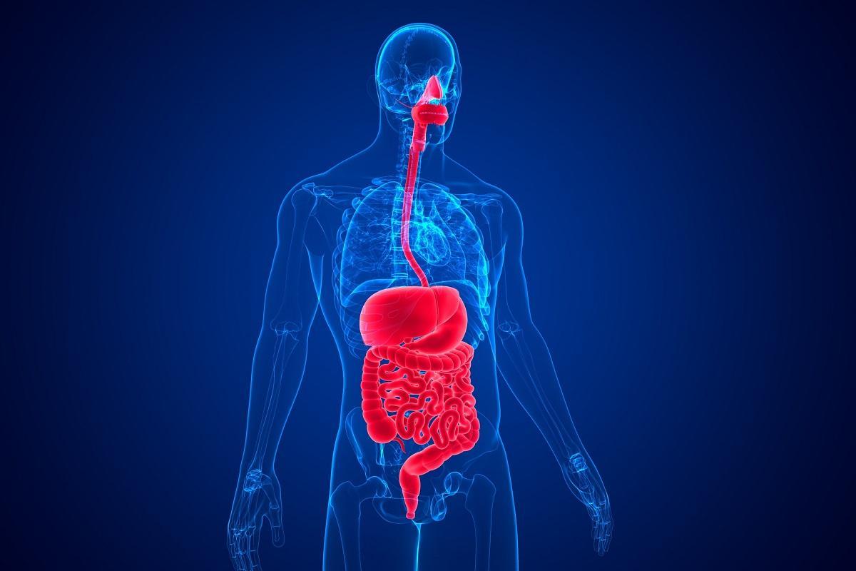 Pautas prevenir los cánceres digestivos.