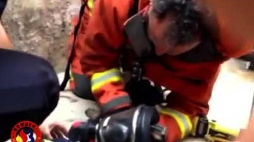 Los bomberos reaniman a un perro con el boca a boca en Valencia