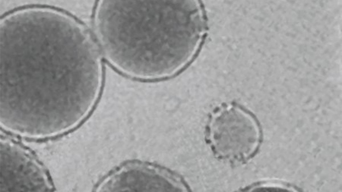 Llposomas sensibles a baja temperatura cargados con un agente de reticulación.