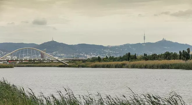 Dar una nueva vida al agua para cuidar nuestro planeta