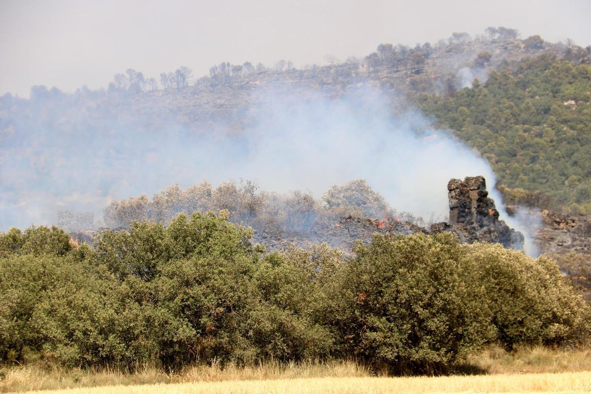 Incendi agrícola i de vegetació al Solsonès, a Biosca