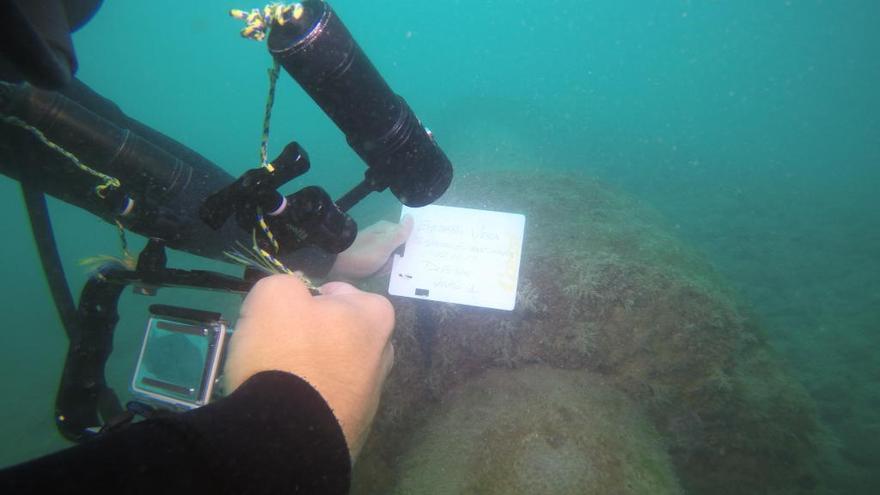 Los buzos empezaron ayer las primeras inspecciones en el emisario de Vera, sospechoso de las fugas de aguas fecales.