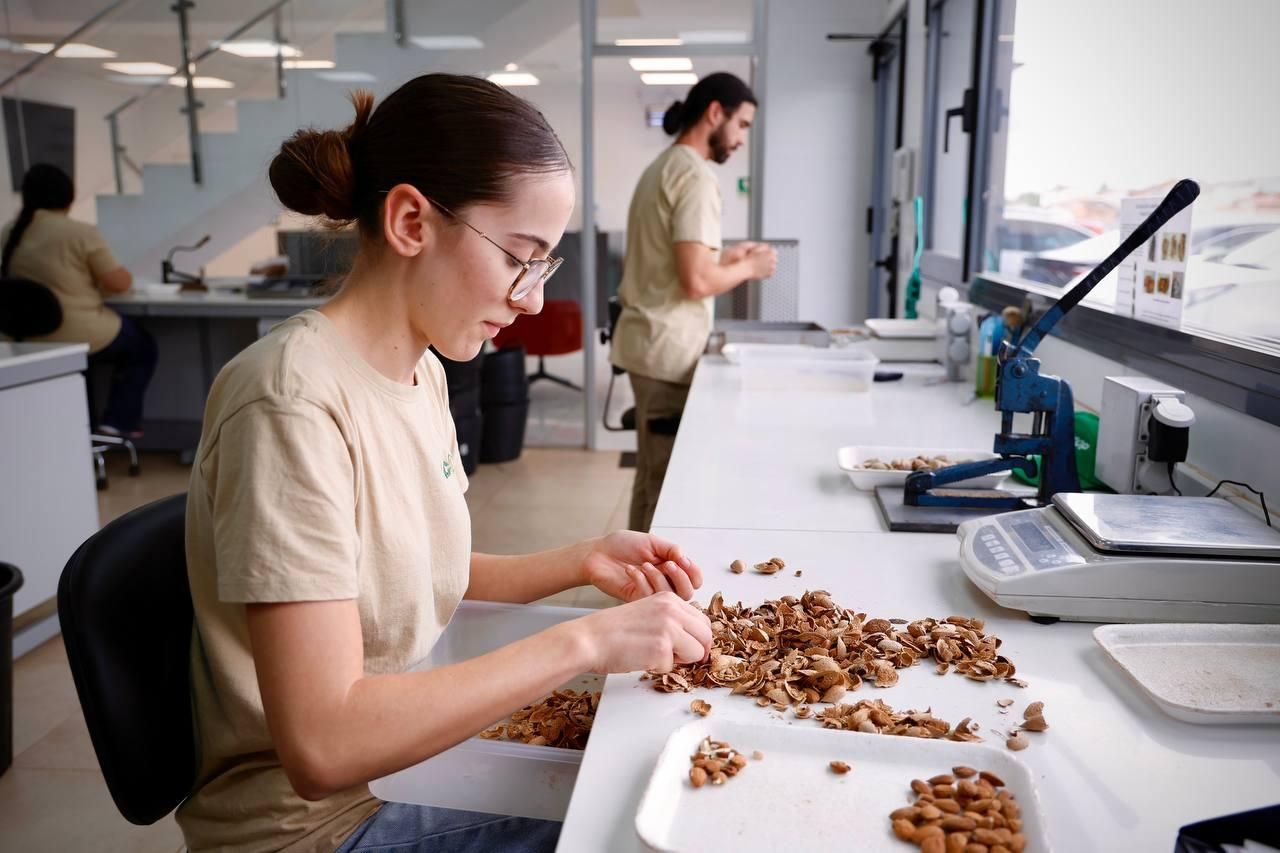 La nueva planta de almedras de Dcoop en Córdoba, en imágenes