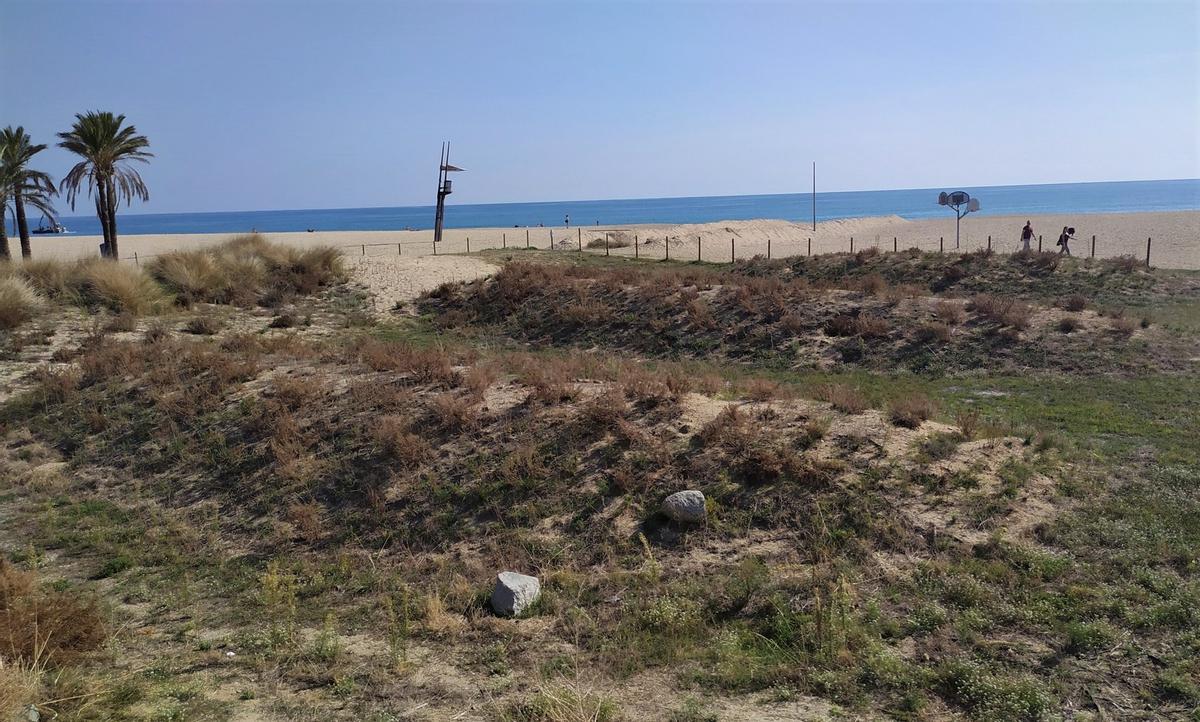 L’Ajuntament de Mataró firma un acord de custòdia de les dunes de la platja del Varador amb l’entitat Natura