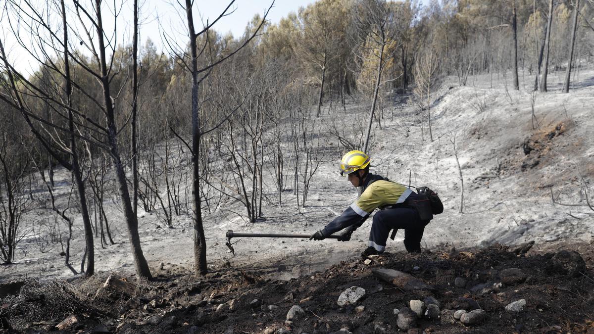 Les imatges de l'incendi de Ventalló i Vilopriu