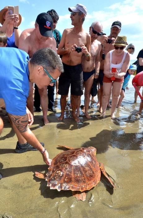 GARZA ÁNADE TORTUGA SUELTA CHARCA MASPALOMAS