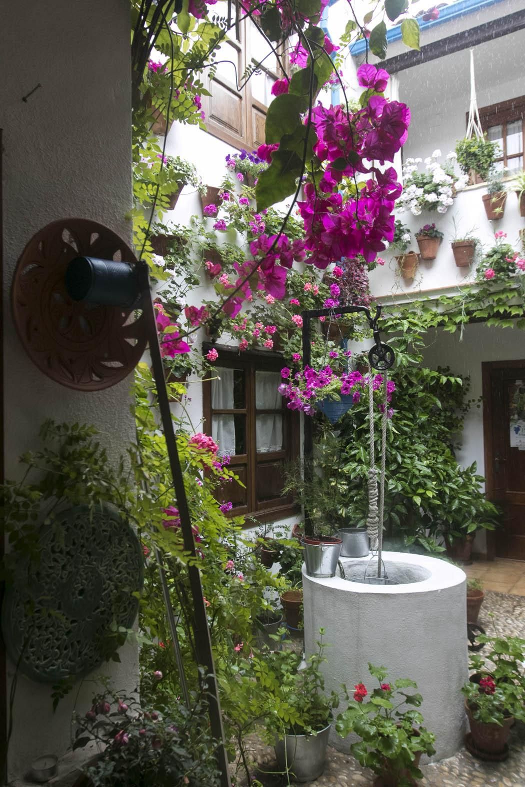 Fotogalería / Descubriendo los patios de la ruta del Realejo y San Andrés