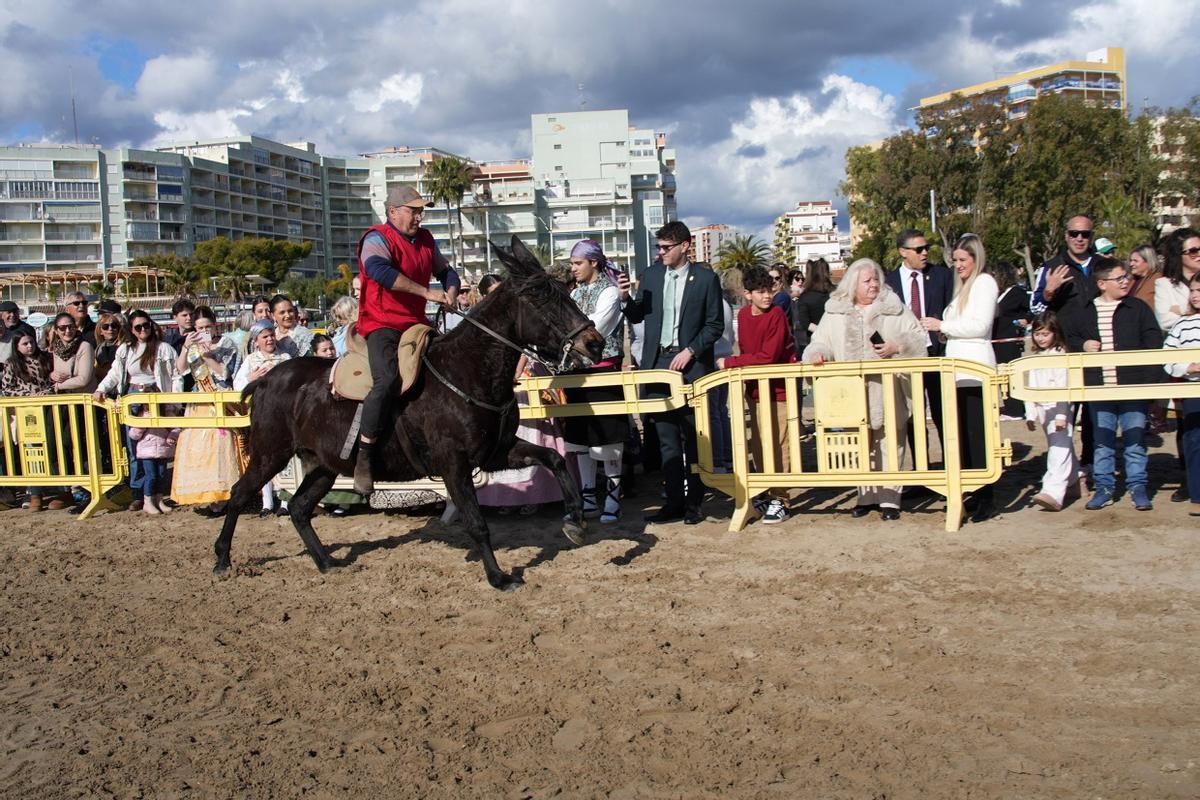 Las imágenes de la carrera de caballos en la playa de Orpesa