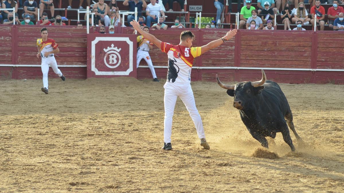 Concurso de cortes, quiebros y saltos en Benavente. / E. P.