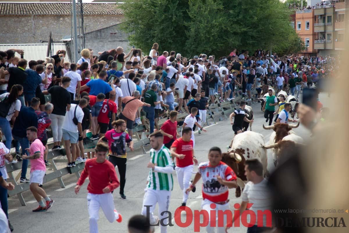 Primer encierro de la Feria del Arroz de Calasparra