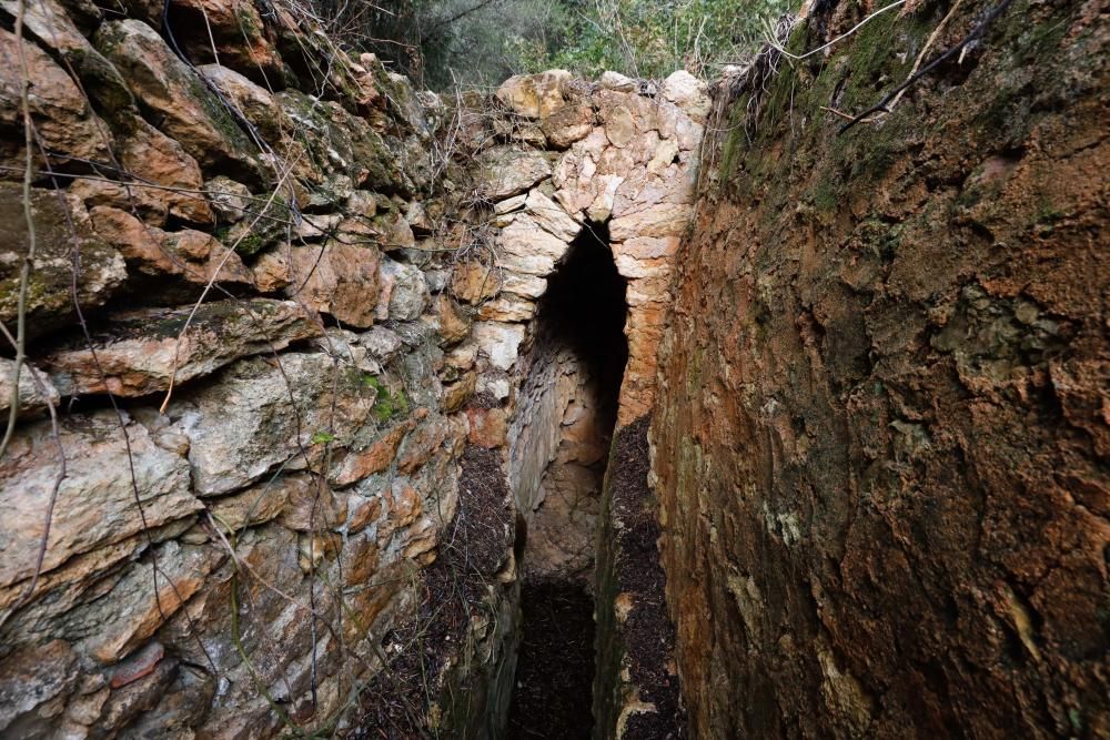 La fuente que alimentaba el canal de Fruitera y los huertos cercanos a Santa Gertrudis vuelve a estar a la vista