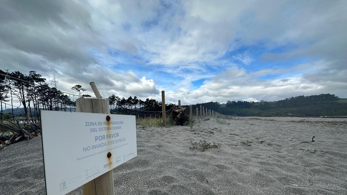 Zona de especial protección en la playa de Navia