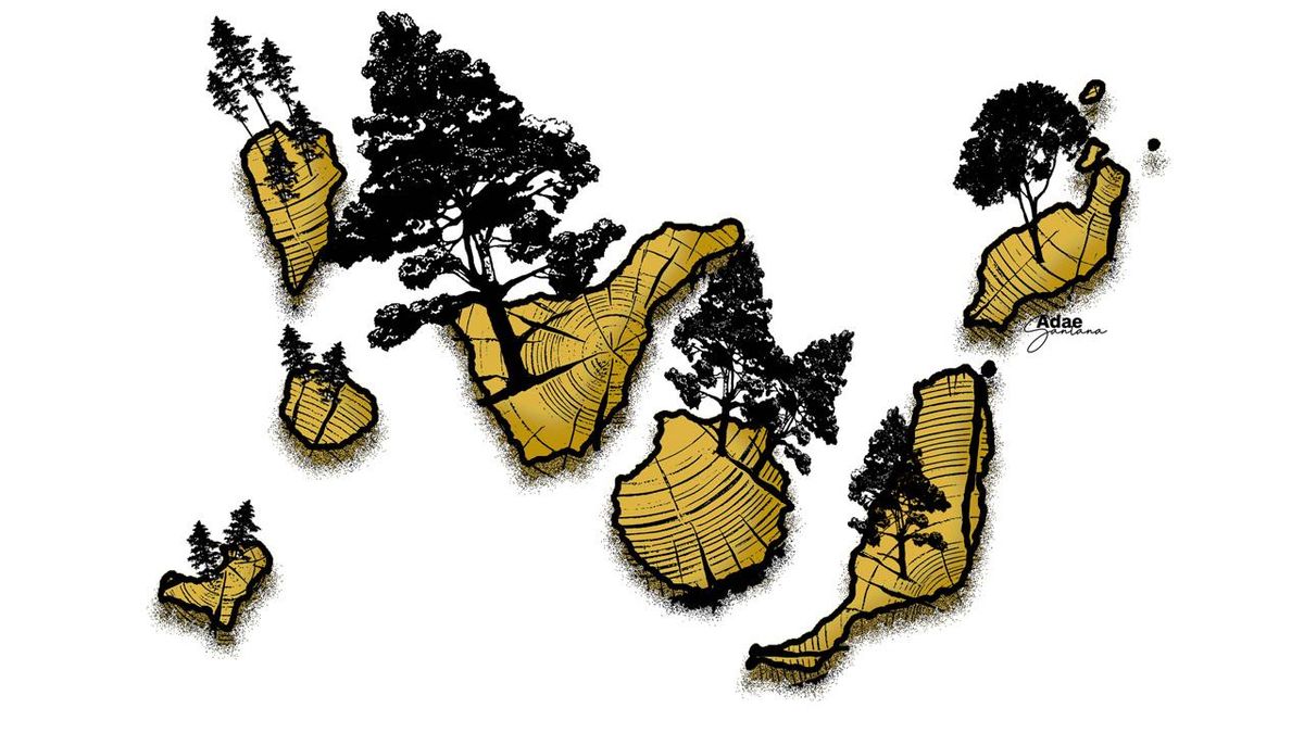 Representación artística de la masa forestal en Canarias.