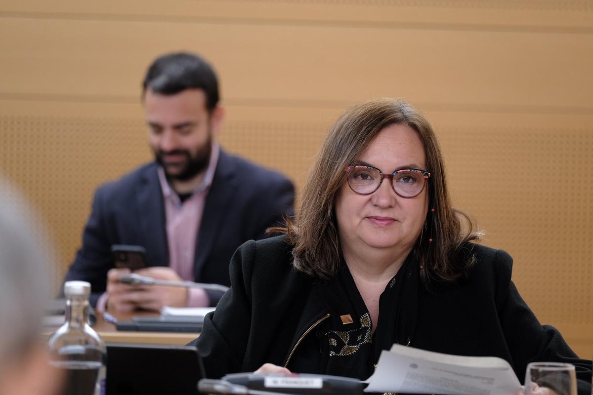 La consejera de Acción Social del Cabildo de Tenerife, Marian Franquet, durante un pleno de la institución insular.