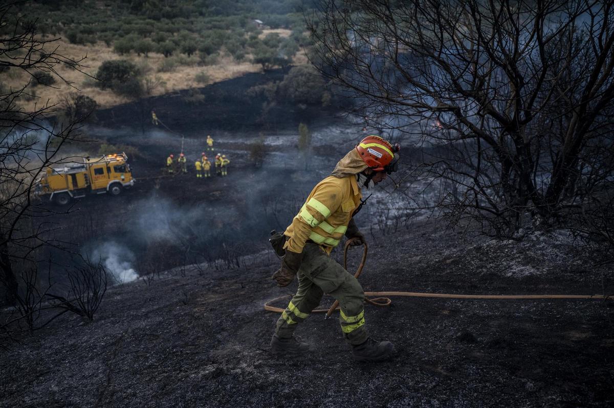 Fotogalería | 'Un verano devastador': el trabajo de Carlos Gil por el que se ha llevado el premio XLVI Premio Dionisio Acedo