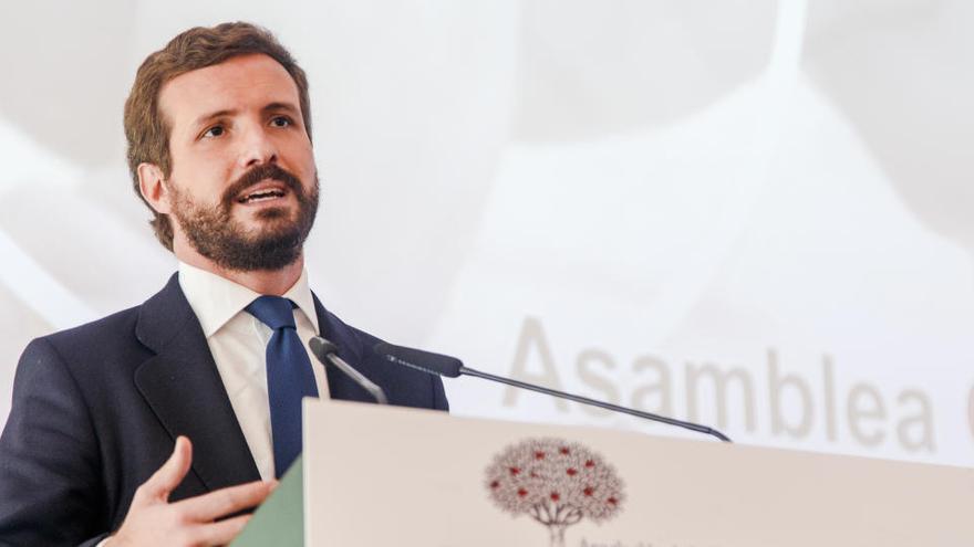 El presidente del PP, Pablo Casado.