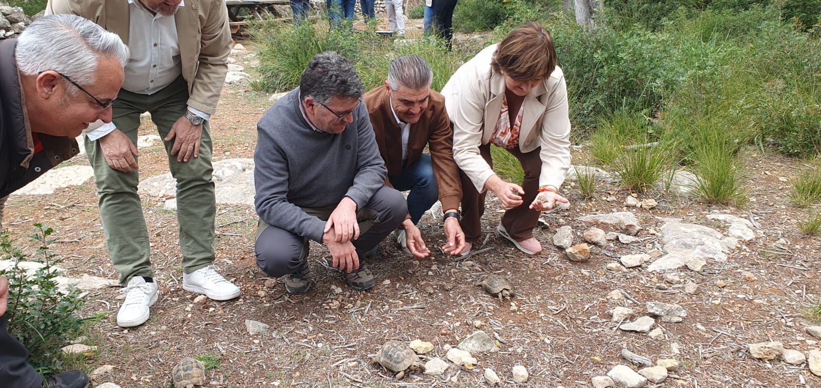 FOTOS | La libertación de tortugas en Galatzó, en imágenes