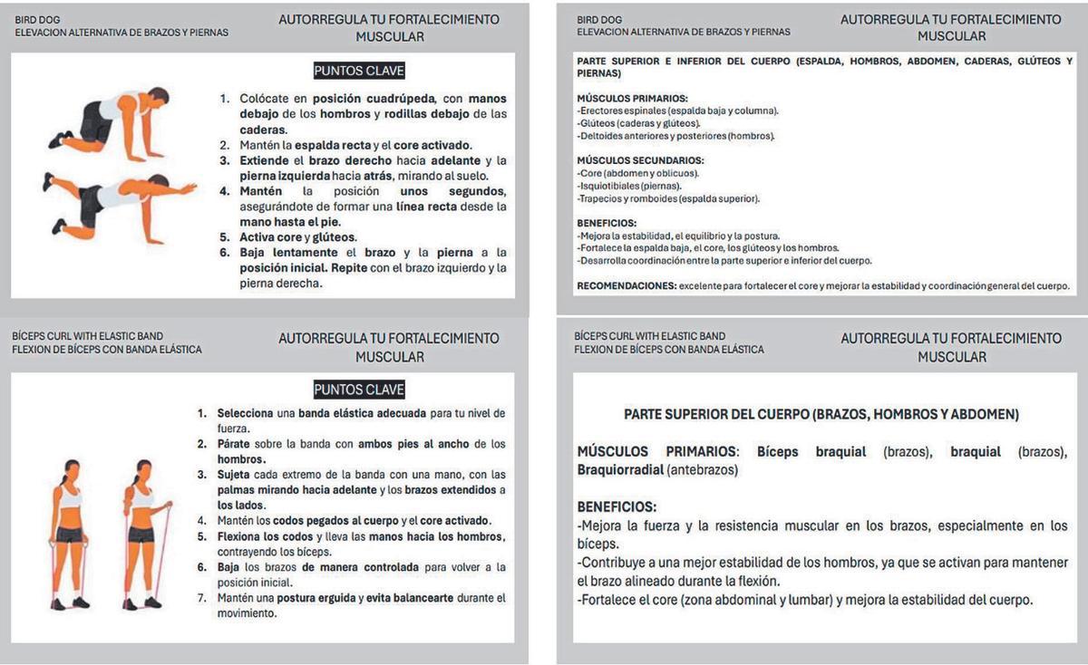 Tarjetas informativas de aspectos clave de los ejercicios de resistencia muscular (anverso y reverso).