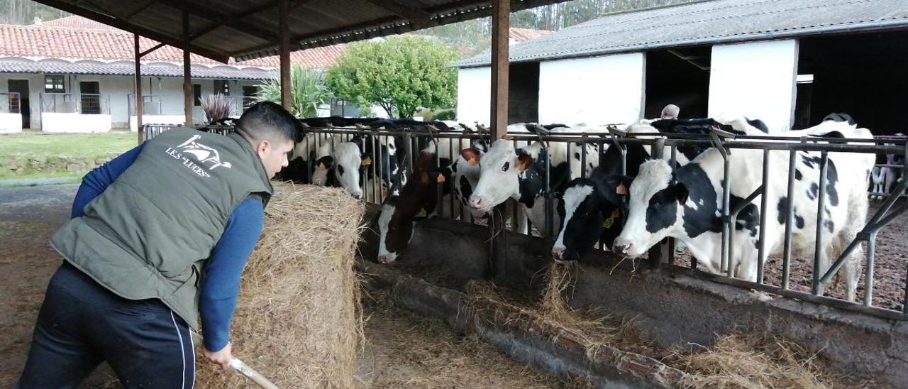 La ganadería láctea, más fuerte y resiliente ante la crisis