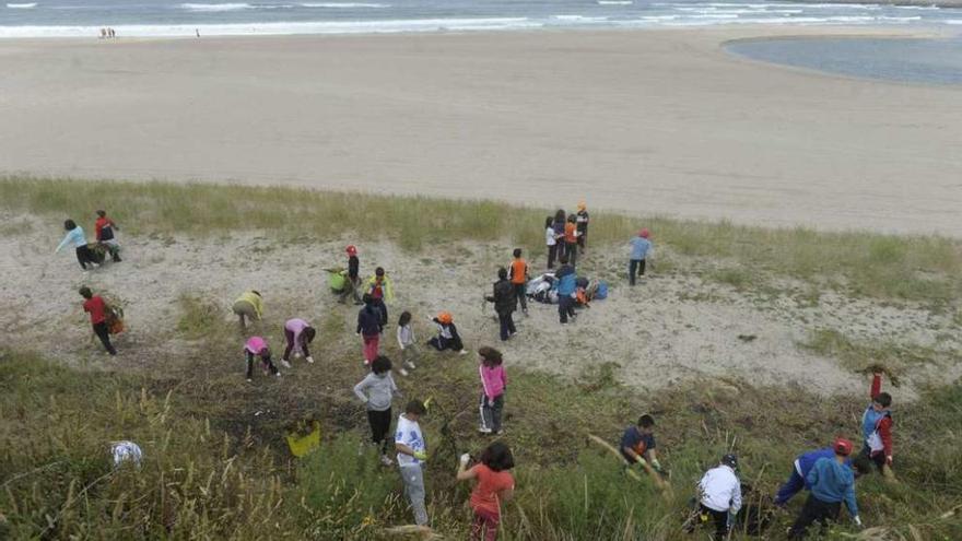 Escolares participantes en una actividad ecologista guiada por el Grupo Hábitat en la playa de Sabón.